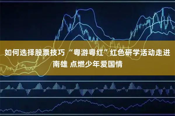 如何选择股票技巧 “粤游粤红”红色研学活动走进南雄 点燃少年爱国情