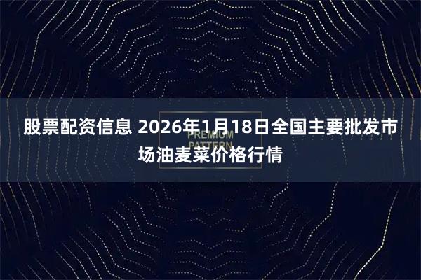 股票配资信息 2026年1月18日全国主要批发市场油麦菜价格行情